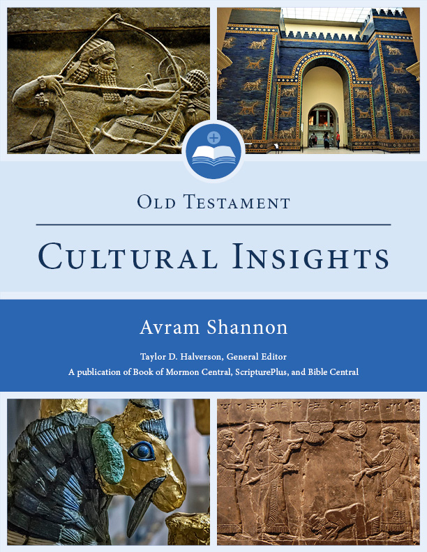 Cover of Old Testament Cultural Insights by Avram Shannon.